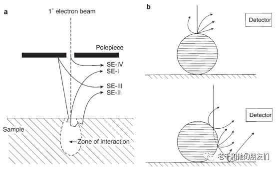 扫描电镜能测线条的长度吗？